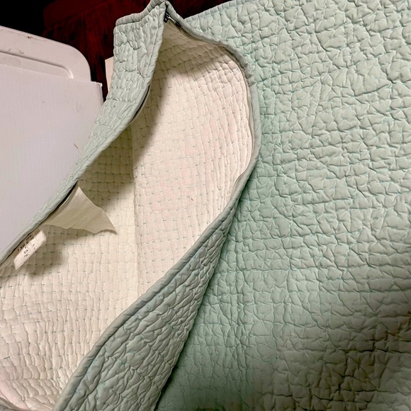 Crate & barrel pillow covers standard size - Picture 10 of 12